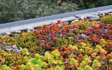 the cost of Eyhorne Street green roof installation