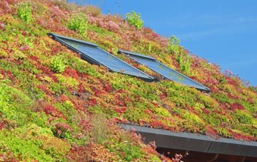 Eyhorne Street living roof systems